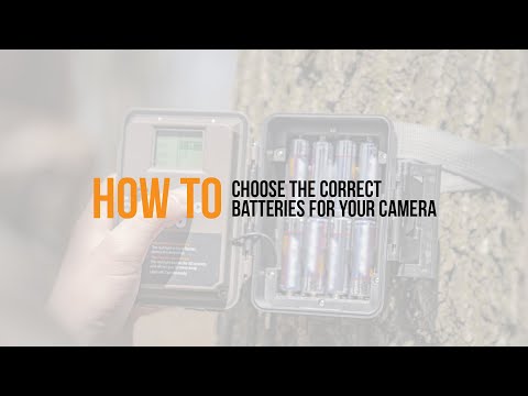 How to choose the correct batteries for your camera