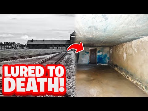 HOW Nazi Gas Chambers Actually Worked | Shocking