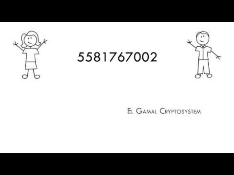 Diffie Hellman Key Exchange Protocol Animation