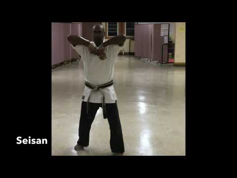 Johnny Houston - Wado Ryu - kata Seisan