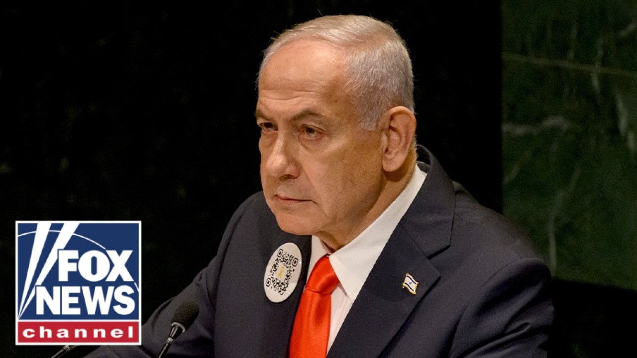 Netanyahu goes SCORCHED EARTH on protesters, UN delegates