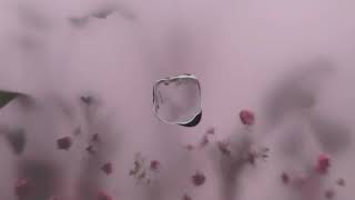 love is more depressing than depression - prxz