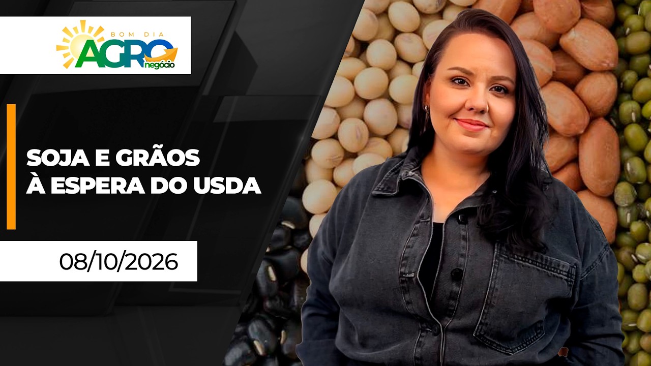 Bom Dia Agro - Mercado de grãos se ajusta antes de novo boletim do USDA