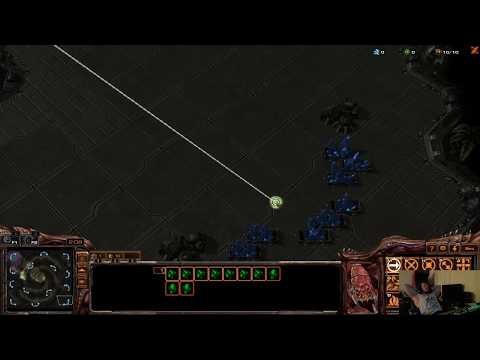 PRO-LEVEL SC2 STRATEGY AND APM