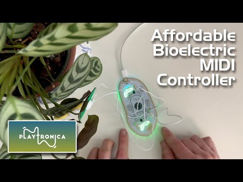 Playtronica Biotron Bioelectric MIDI Controller image 3