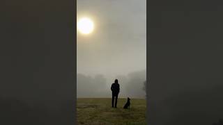 GONE  the Album  drops May 2025 to coincide with the aniv of Some Gave All. I can&#39;t wait to share it