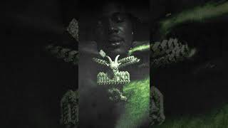 Spend out now! 🐊💸