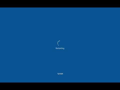 דוד מעיין - ריסטרט // David Maayan - Restart