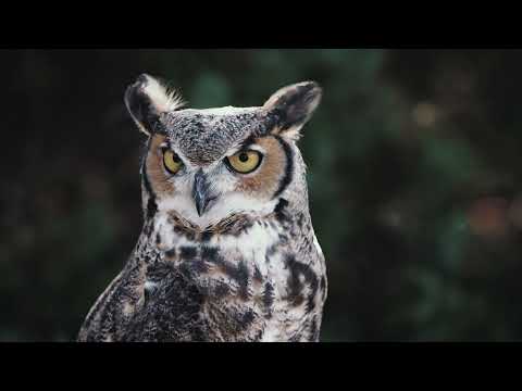 Jasper National Park | Tourism Jasper