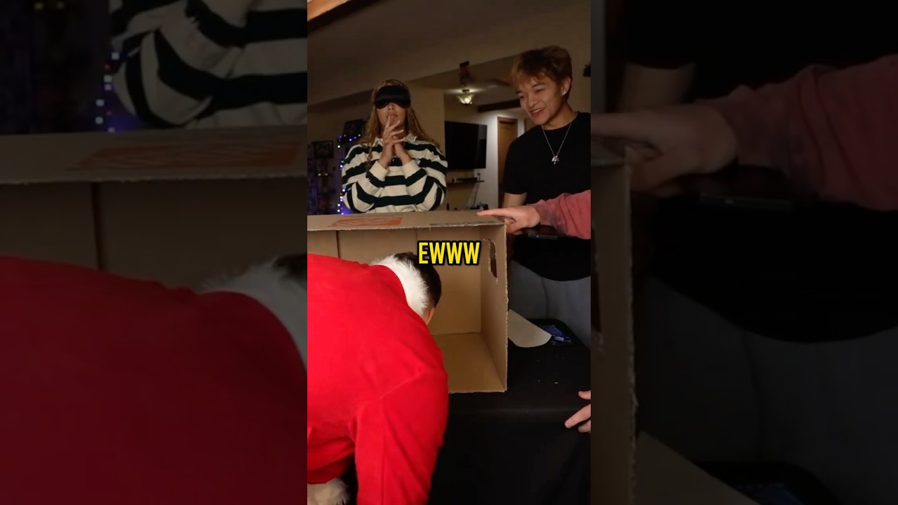 레이시 인 더 박스에서 요나가 트롤링을 당했어요 😭💀