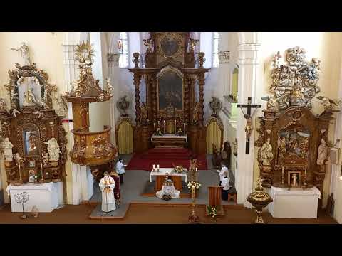 Kanciolán 401 Aleluja! Živ buď nad smrtí slavný vítěz