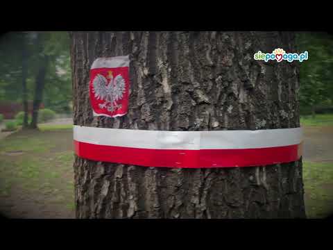 YouTube video preview image