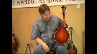 Bruce Graybill Custom Weber Fern Mandolin (2)