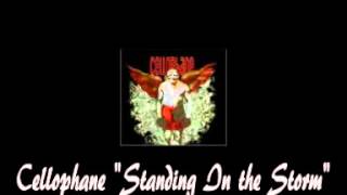 Standing In the Storm #11