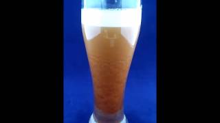 Nitro Cold Brew Pilsner Glass