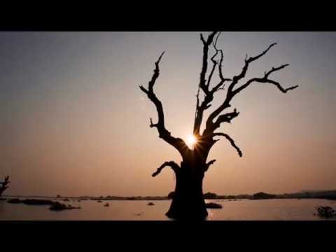 Video thumbnail for I’ll Make Music