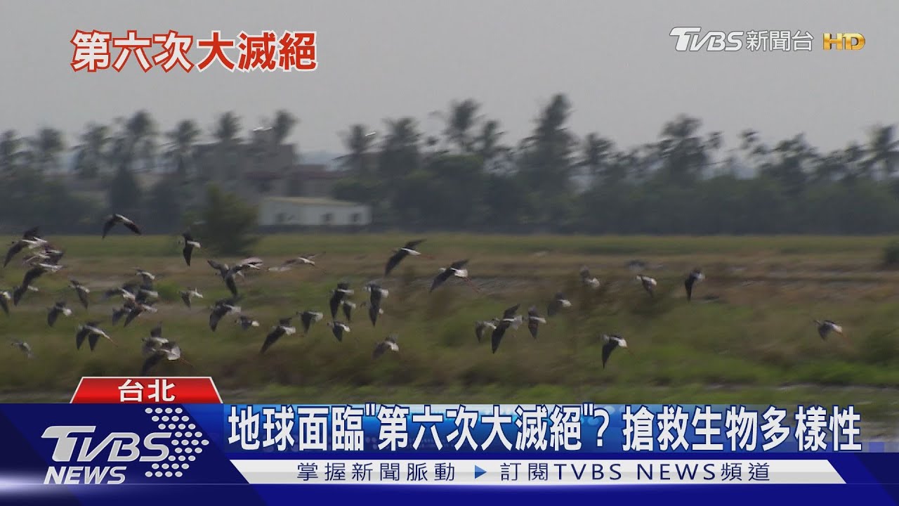 別以為不關你的事! 保護生物多樣性從「吃」愛地球