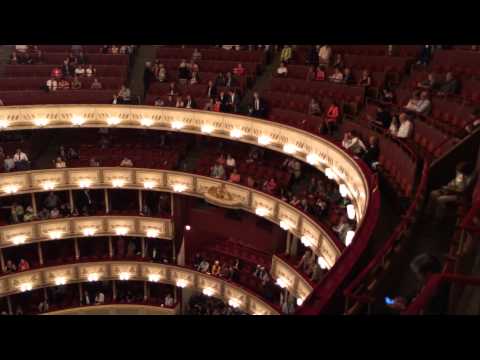 Vienna State Opera House - Before a Performance