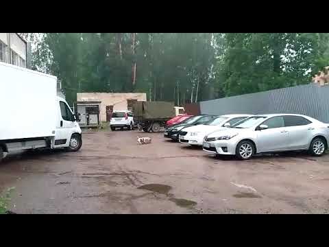Собака играла с баллоном пива