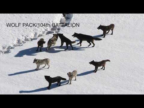STAR WARS™ Battlefront™ II WOLF PACK! (104th battalion gameplay) phase 1 clones