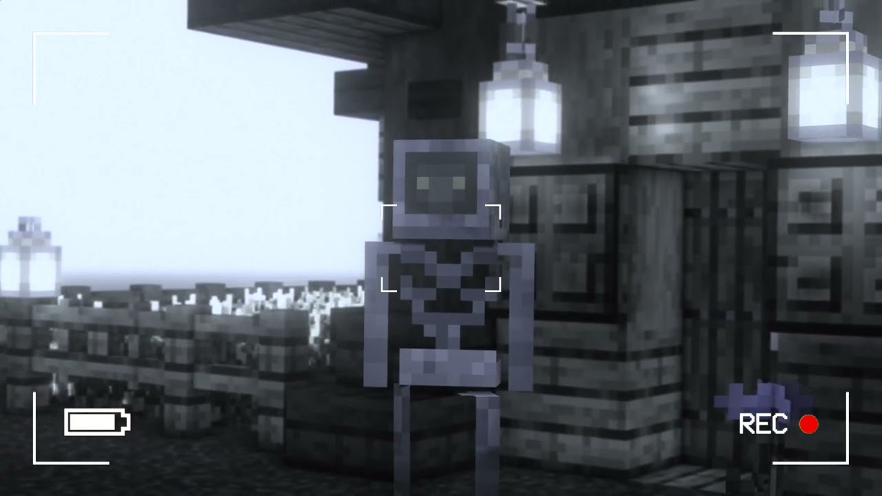Vídeo 4