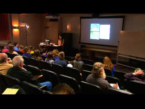 2012-12-07 Babcock Building 6PM