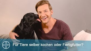 Gesunde Tiernahrung I Tierfutter selber kochen oder Fertigfutter?