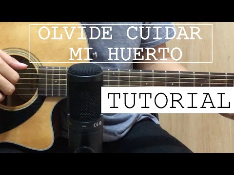 Olvide Cuidar Mi Huerto - Jesus Adrian Romero- TUTORIAL GUITARRA/ACORDES