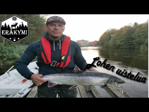 Elokuista lohenpyyntiä Kymijoella