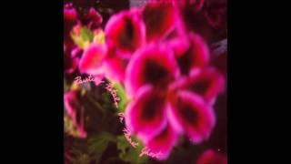 painting petals on planet ghost - fallen camellias - 01 - honoo no ko