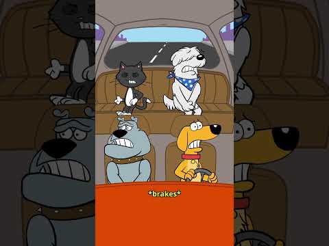 Dog Road Trip 🐶🐱 #fyp #animation #funnyvideo #comedy #dogs