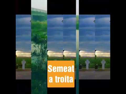 Bursa Proiectelor Scolare - Descopera Vrancea 2019 Echipa Exploratorii din Balesti