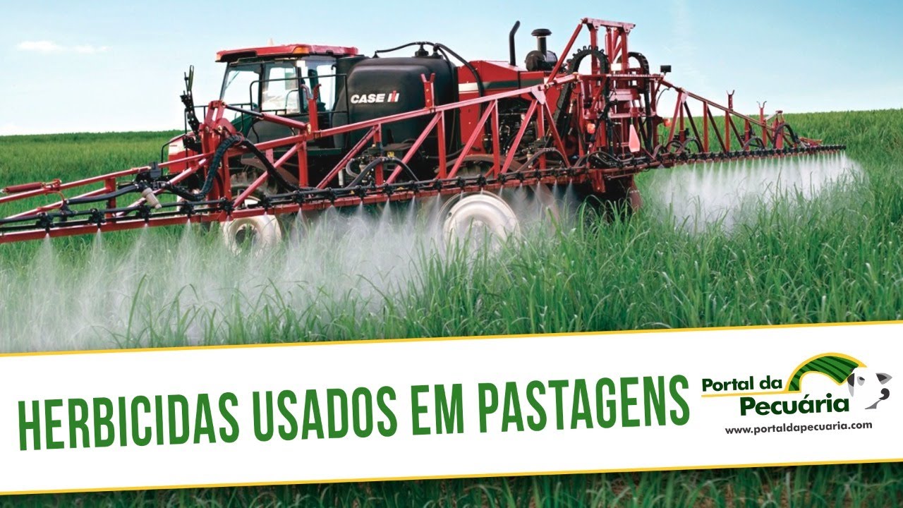 Herbicidas usados em pastagens