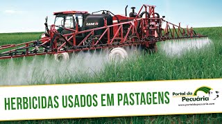 Herbicidas usados em pastagens