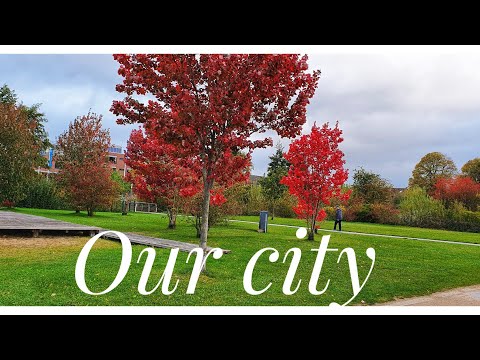 Our City Early in the morning/Stadt Schleswig/ Germany ki Baatain.