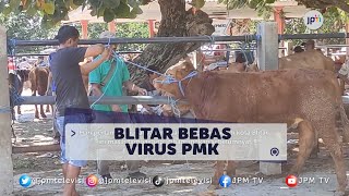 Download lagu BAHASA DAERAH |  Pasar Hewan di Moro Blitar Kembali Dibuka mp3