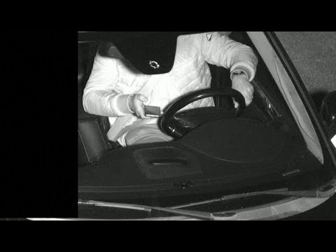 荷蘭測試攝像頭，以捕捉簡訊司機 (Dutch test cameras to catch texting drivers)