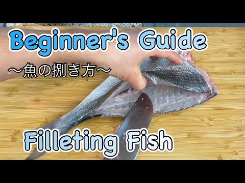 GRAPHIC - How to fillet fish "Japanese style" for Sashimi/Sushi | easy Japanese home cooking recipe