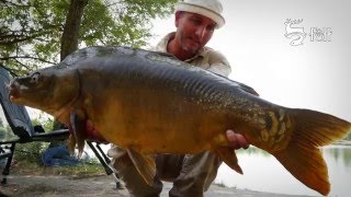 FEEDERMANIA - Vízközti pontyozás feederrel