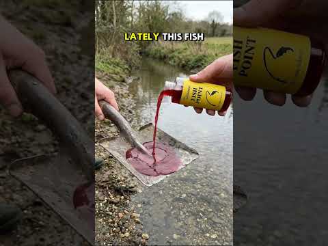 #fishing