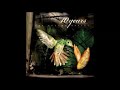 10 Years - Insects