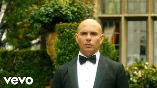 Musik-Video-Miniaturansicht zu Wild Wild Love Songtext von Pitbull