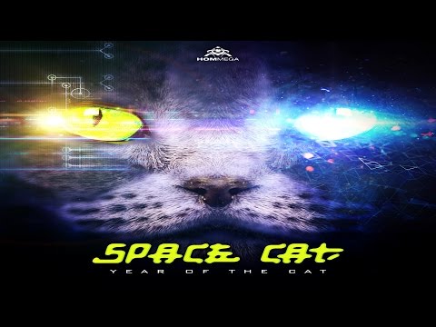 Space Cat - Loops of Insanity
