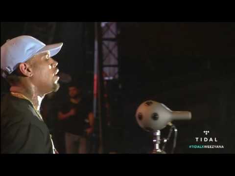 Chris Brown performance (Lil’ Weezyana Festival 2016)