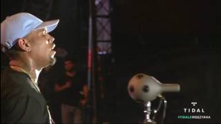Chris Brown performance (Lil’ Weezyana Festival 