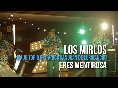 @playlizt.pe - Los Mirlos - Eres Mentirosa