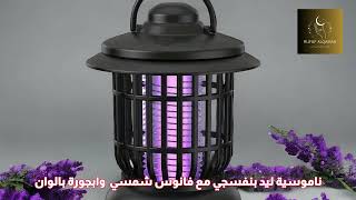 ناموسية صغيرة وفانوس وابجورة في منتج واحد