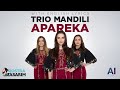 TRIO MANDILLI APAREKA WITH ENGLISH LYRICS