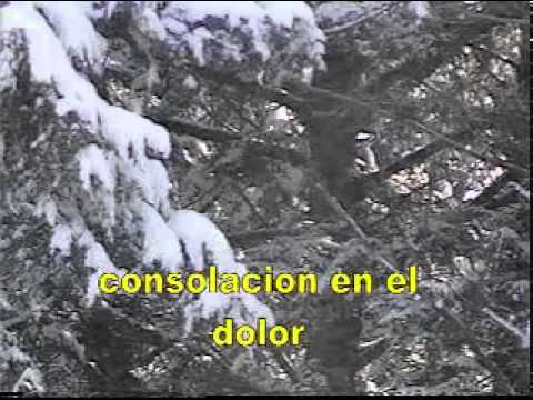 ETERNA ROCA ES MI JESUS