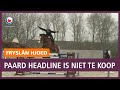 REPO: Headline wordt voor geen goud verkocht